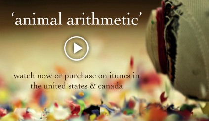 animal arithmetic video